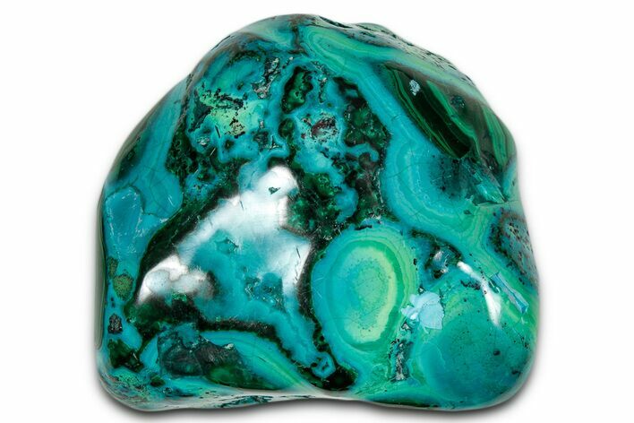 Vibrant Polished Malachite with Chrysocolla - DR Congo #336865